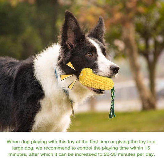Fun Corn Chew Toy for Healthy, Active Dogs